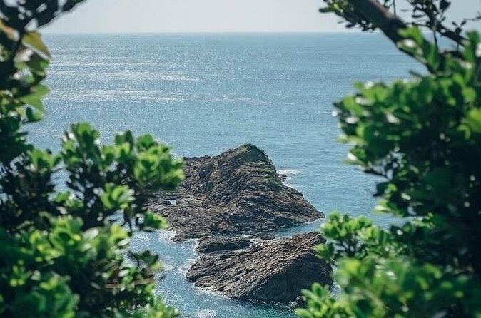 Kagoshima Private Vehicle Service with Restaurant Reservation - Authenticity and Personal Touch