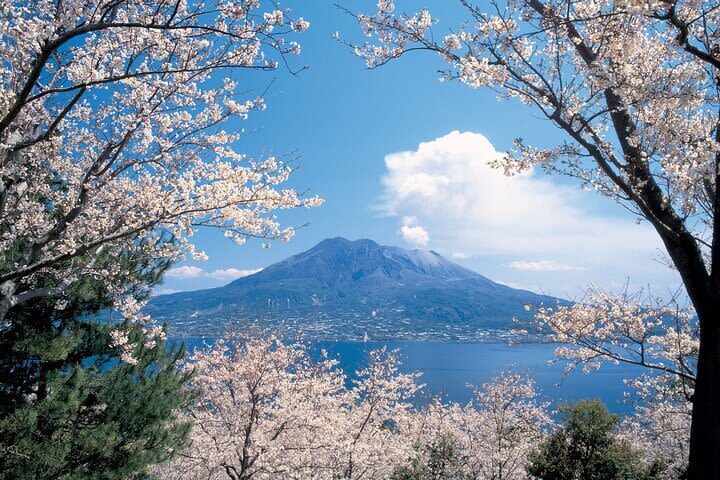 Kagoshima Sakurajima Half-Day Volcano Tour - A half-day on Sakurajima, with more than a volcano view
