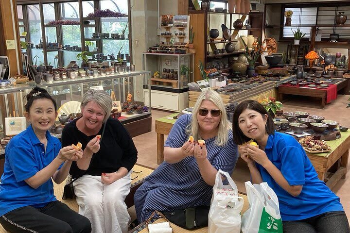Kagoshima Sakurajima Half-Day Volcano Tour - Guides who explain, organize, and adjust the pace