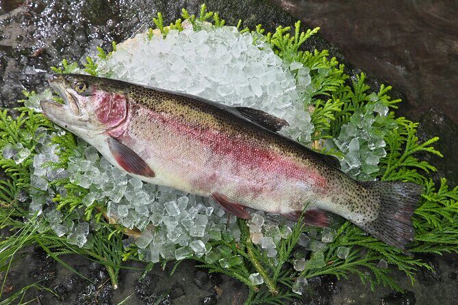 Kagoshima to Miyazaki Custom Tour with private car and driver - Exploring the Kagoshima to Miyazaki Region: A Private Day Trip with a Local Touch