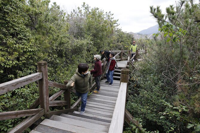 Kagoshima Virtual Reality Walk Activity - Key Points