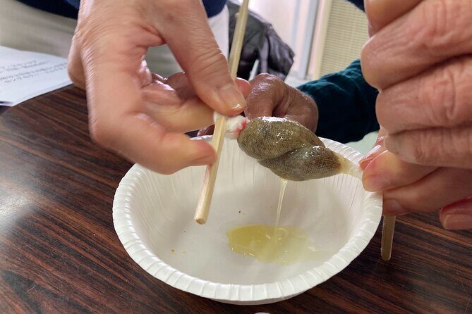 Kagoshima Virtual Reality Walk Activity - The Sum Up: A Genuine, Multi-Dimensional Encounter