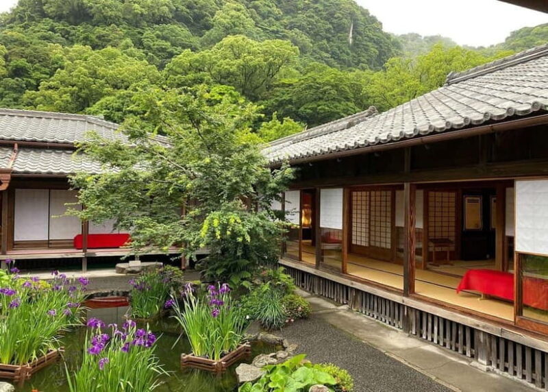 Kagoshima: Volcano & Nature Immersion Private Guided Tour - Key Points