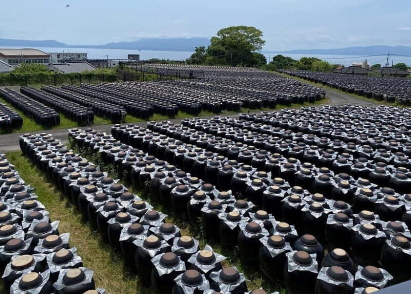 Kagoshima: Volcano & Nature Immersion Private Guided Tour - Practical Details and Comfort