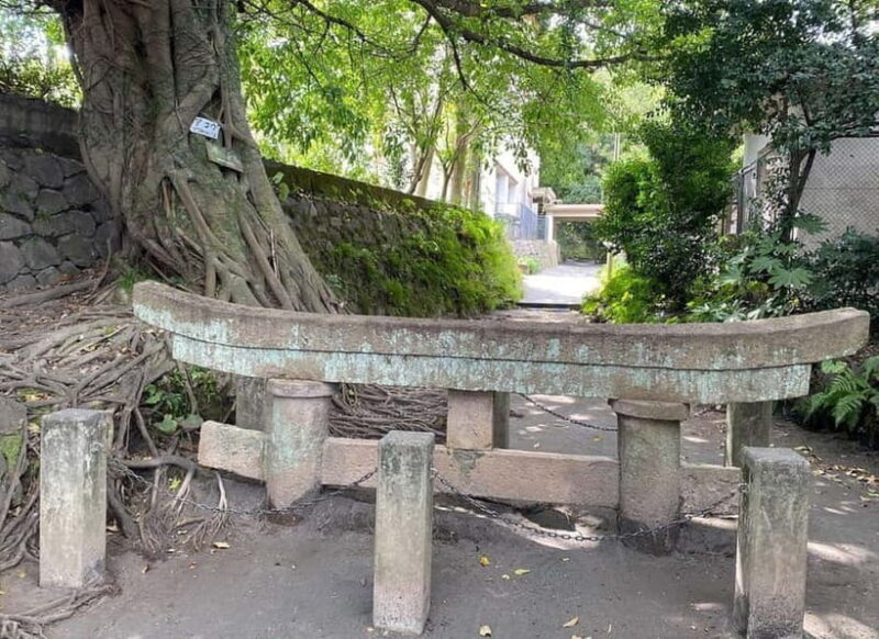 Kagoshima: Volcano & Nature Immersion Private Guided Tour - Final Thoughts