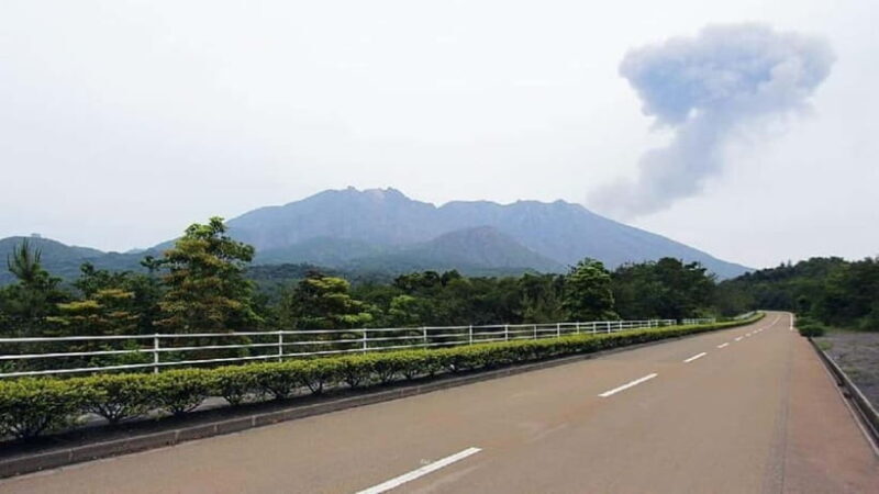Kagoshima: Volcanos Embrace  Sakurajima View Experience - Key Points