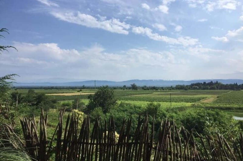 Kahketi: Full-Day Wine Tasting Tour with Lunch - Exploring Kakheti: The Heart of Georgia’s Wine Country