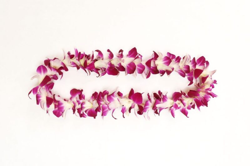 Kahului Airport: Maui Flower Lei Greeting Upon Arrival - Comparing with Similar Experiences