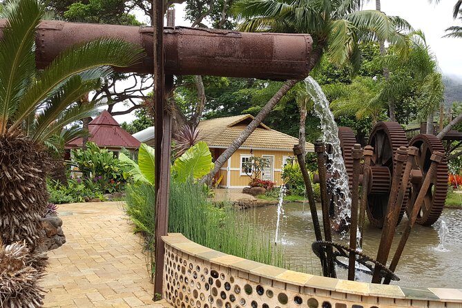 Kahului Shore Excursion: Private Tropics of Maui & Rainforest - Who Should Consider This Tour?