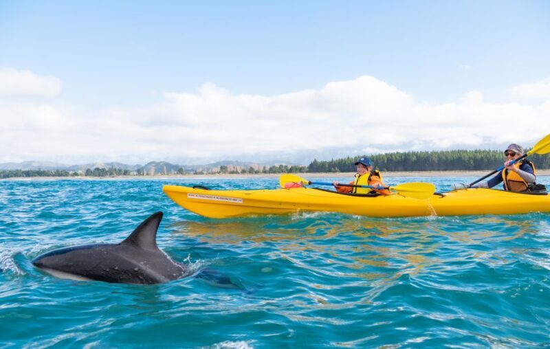 Kaikoura: Guided Family Kayaking Adventure - Frequently Asked Questions