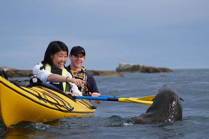 Kaikoura Helicopters ATV Adventure - Final Thoughts: Is It Worth It?