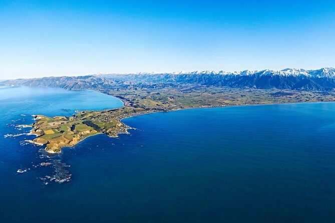 Kaikoura Helicopters Classic Whale Watch - Key Points
