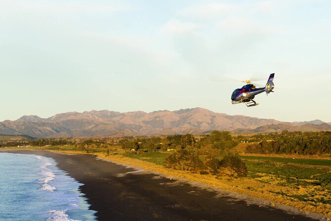 Kaikoura Helicopters Extended Whale Watch flight - FAQs