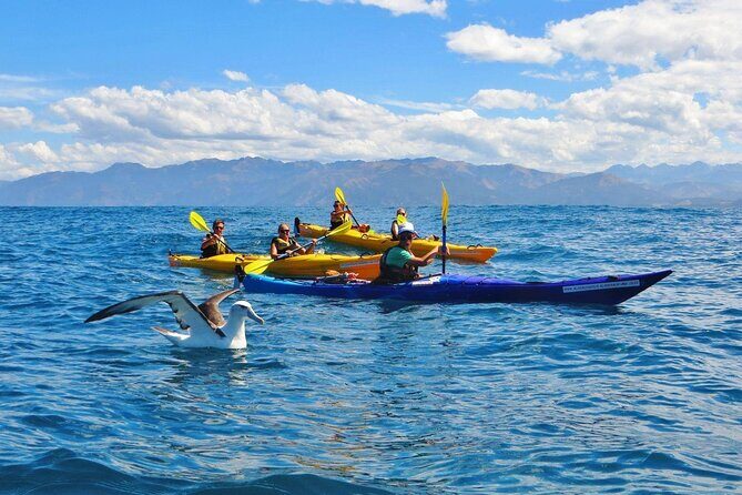 Kaikoura Kayaking Adventure Small Group Tour from Christchurch - Key Points