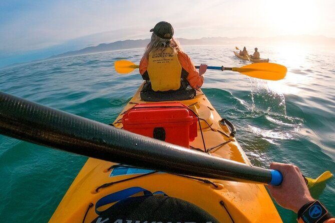 Kaikoura Kayaking Adventure Small Group Tour from Christchurch - Why This Tour Offers Good Value