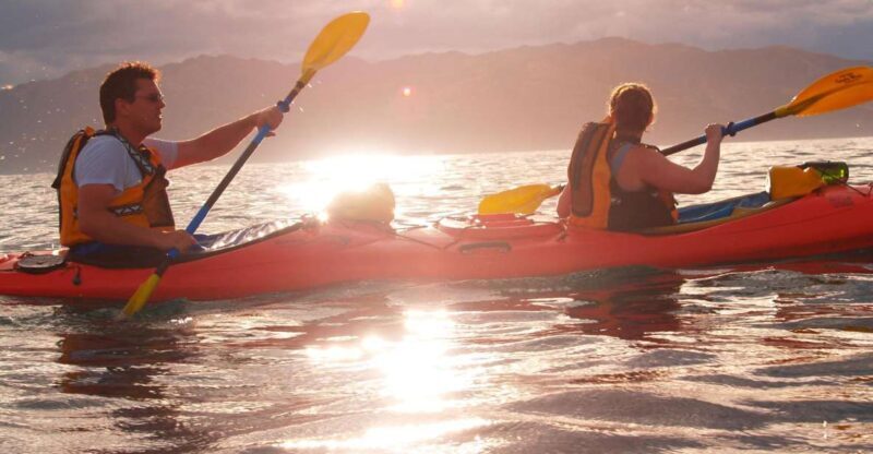 Kaikoura: Sunset Evening Kayaking Tour - An In-Depth Look at the Experience