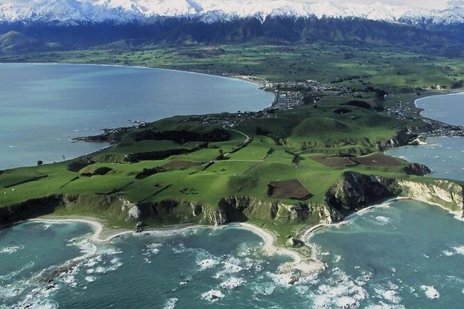 Kaikoura Swim with Dolphins Tour from Christchurch - Key Points