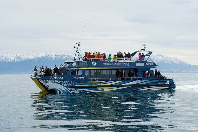 Kaikoura Whale and Dolphin Overnight Tour from Christchurch - An In-Depth Look at the Kaikoura Overnight Tour