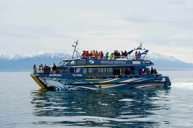 Kaikoura Whale Watch Day Tour from Christchurch - An In-Depth Look at the Kaikoura Whale Watch Day Tour