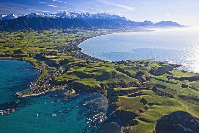 Kaikoura Whale Watch Day Tour from Christchurch - Experience the Majesty of Kaikoura on a Full-Day Whale Watch Tour from Christchurch