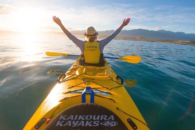 Kaikoura Whale Watching - 45 Minute Ocean Safari - Final Word