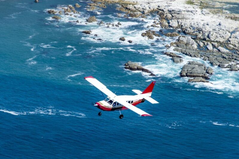 Kaikoura: Whale Watching Flight with Commentary - Authenticity and Review Insights