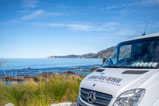 Kaikura Day Tour From Christchurch (Small Group, Carbon Neutral) - What You Can Expect at Each Stop