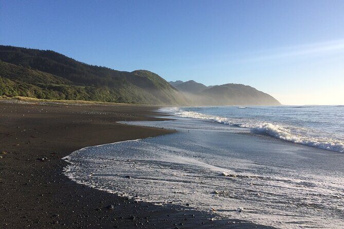 Kaikura Day Tour From Christchurch (Small Group, Carbon Neutral) - Who Should Book This Tour?