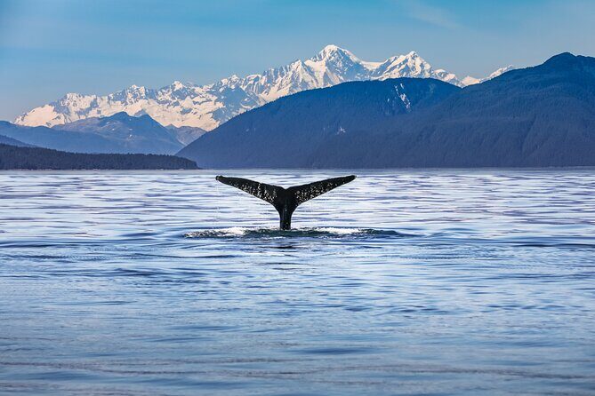 Kaikura Day Tour From Christchurch With Whale Watch - Experience the Best of Kaikoura in a Day from Christchurch