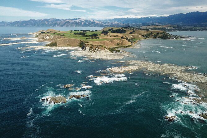 Kaikura Day Tour From Christchurch With Whale Watch - Key Points