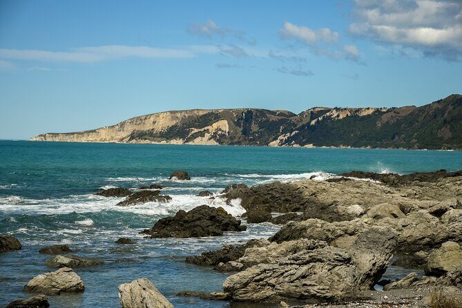 Kaikura Day Tour From Christchurch With Whale Watch - Who Would Love This Tour?