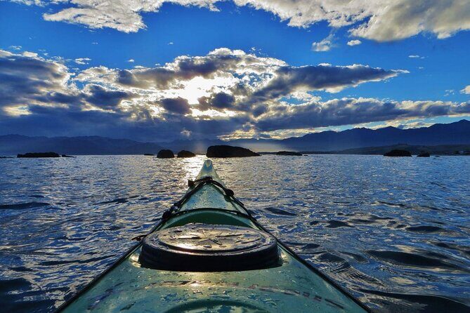 Kaikura Day Tour With Kayak Experience From Christchurch - An Authentic Day Trip to Kaikoura with Kayak Adventure from Christchurch