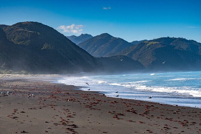 Kaikura Day Tour With Kayak Experience From Christchurch - Who is This Tour Best For?