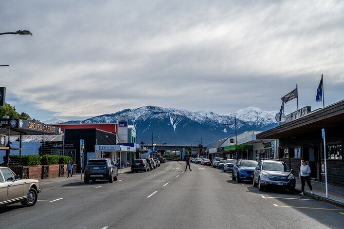 Kaikura Day Tour With Kayak Experience From Christchurch - Final Thoughts
