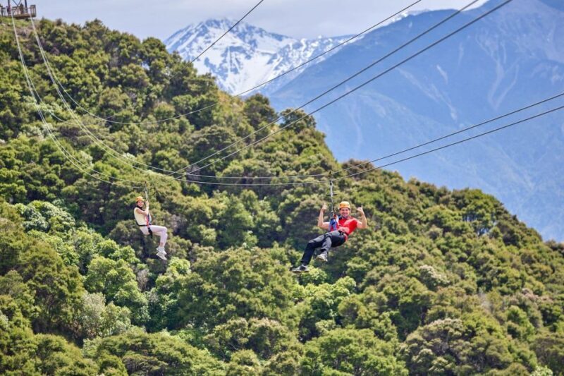 Kaikura: Zipline and Native Forest Adventure Trip - What Makes This Tour Special?
