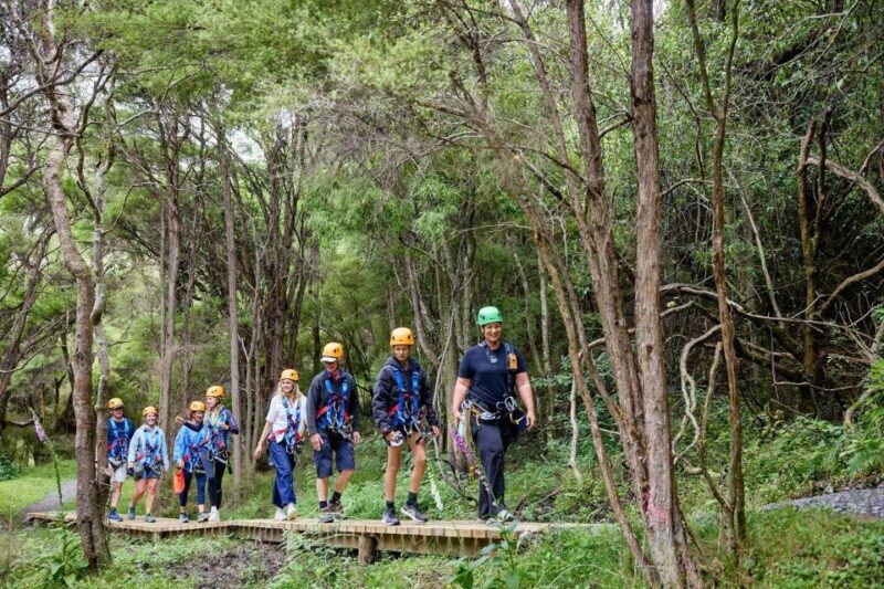 Kaikura: Zipline and Native Forest Adventure Trip - Safety and Practicalities
