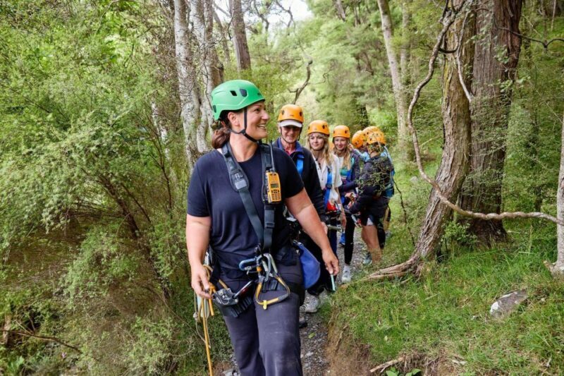 Kaikura: Zipline and Native Forest Adventure Trip - Who Will Love This Tour?