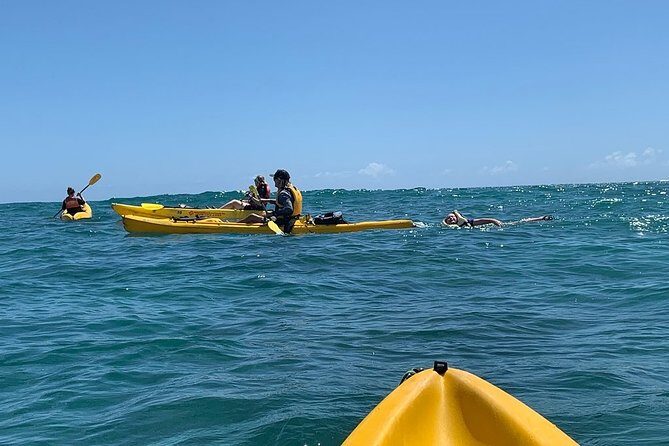 Kailua 2-Hour Guided Kayaking Excursion, Oahu - The Sum Up