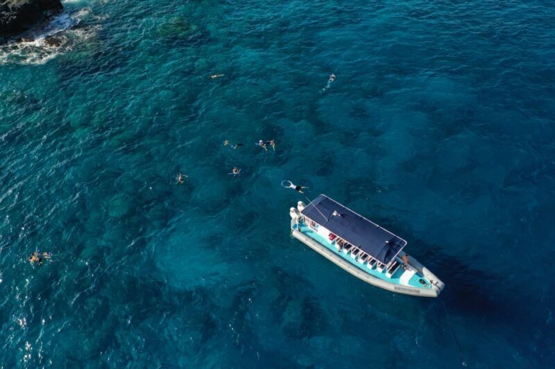 Kailua-Kona: Big Island Morning Snorkeling Tour with Lunch - Key Points