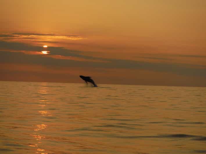 Kailua-Kona: Dolphin Watch & Double-Reef Snorkel Tour - FAQs