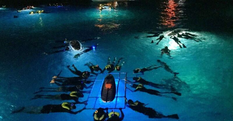 Kailua Kona: Night Manta Ray Adventure on the Big Island - Setting the Scene: What This Tour Is All About