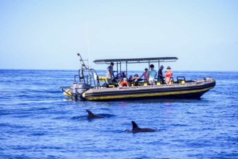 Kailua-Kona: Pacific Humpback Whale Watch Excursion - Why This Tour Works