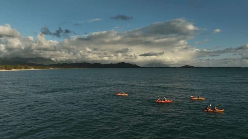 Kailua: Mokulua Islands Kayak Tour with Lunch - Who Will Love This Tour?