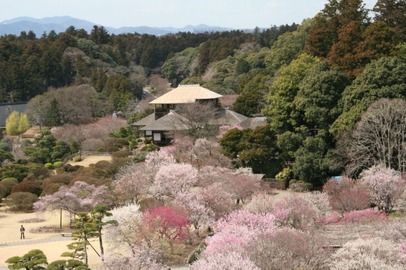 Kairakuen Main Garden Admission Ticket (Ibaraki) - Why Kairakuen feels different from a palace garden