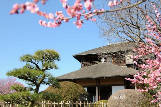 Kairakuen Main Garden Admission Ticket (Ibaraki) - Kobuntei: a historic pause inside the garden