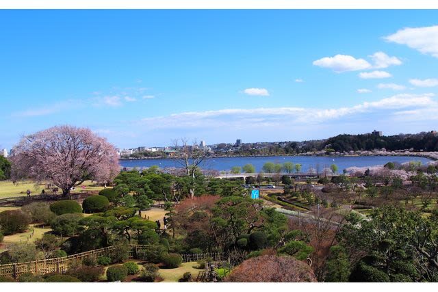Kairakuen Main Garden Admission Ticket (Ibaraki) - Ticket value, free entry, and the small print
