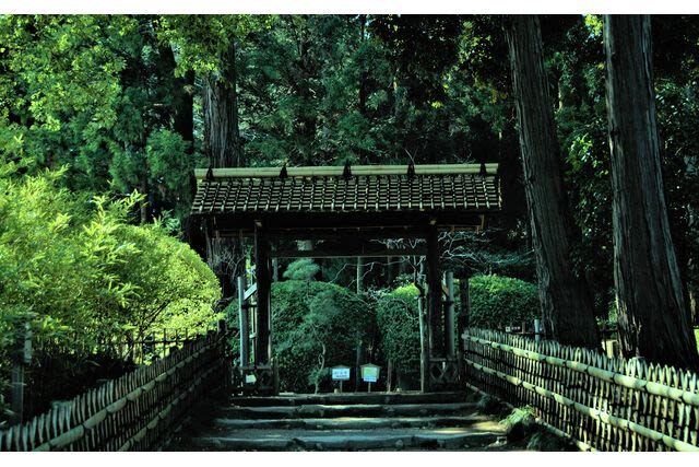 Kairakuen Main Garden Admission Ticket (Ibaraki) - Entry and timing tips that can save you a wait