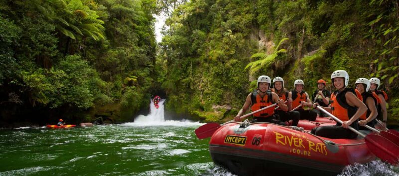 Kaituna River Rafting Grade 5 - Who Will Love This Tour?