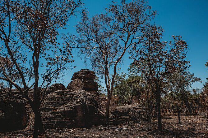 Kakadu Day Tour from Darwin with Offroad Dreaming - Frequently Asked Questions