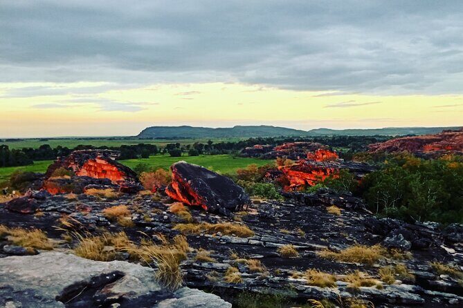 Kakadu Day Tour-Yellow Water-Nourlangie-Ubirr-Cahills-Fogg Dam - An In-Depth Look at the Kakadu Day Tour